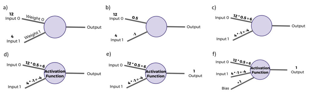 Perceptron computation process