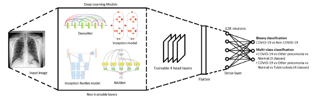 Schematic representation of the overall training framework for COVID-19 diagnosis using PA-CXR